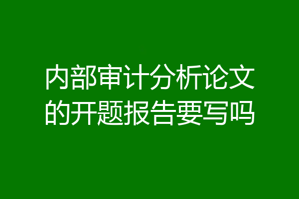 内部审计分析论文的开题报告要写吗
