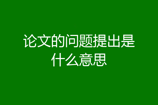 论文的问题提出是什么意思