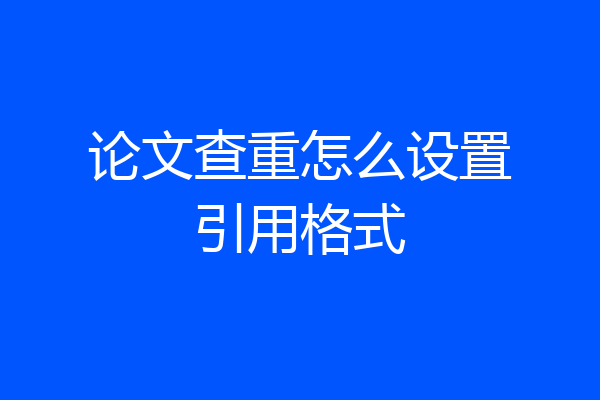 论文查重怎么设置引用格式