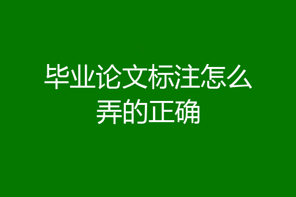 毕业论文标注怎么弄的正确
