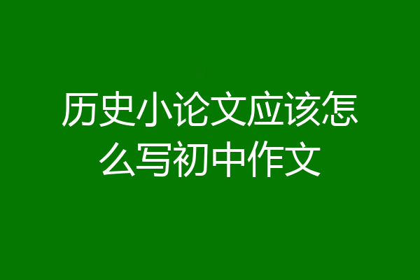 历史小论文应该怎么写初中作文