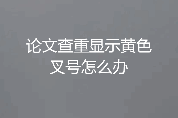 论文查重显示黄色叉号怎么办