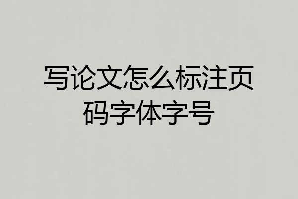 写论文怎么标注页码字体字号