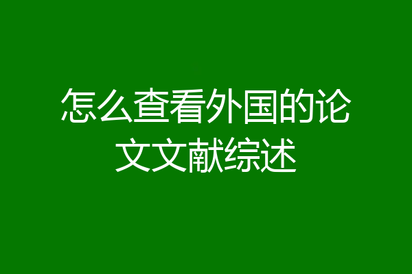 怎么查看外国的论文文献综述