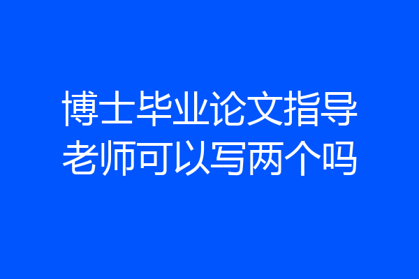 博士毕业论文指导老师可以写两个吗