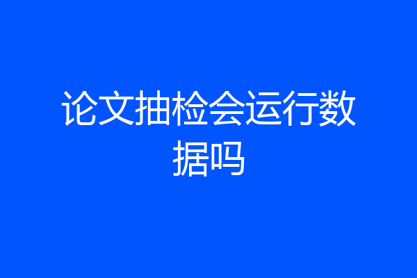 论文抽检会运行数据吗