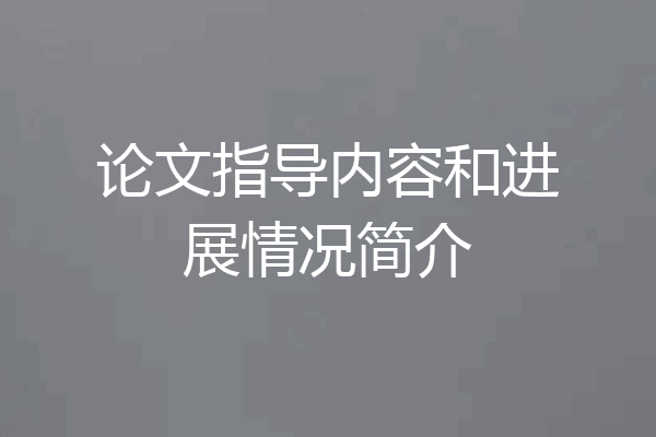 论文指导内容和进展情况简介