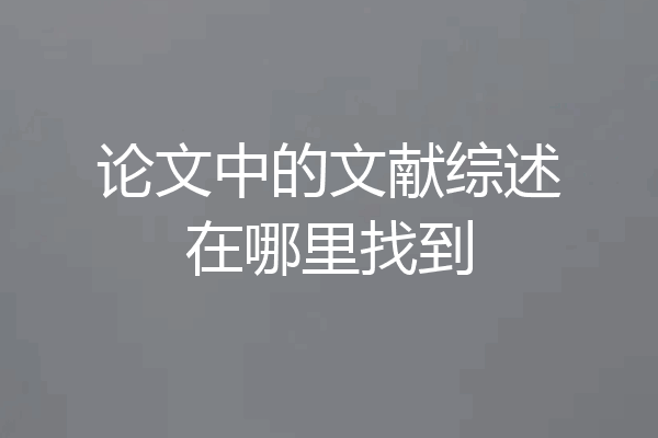 论文中的文献综述在哪里找到