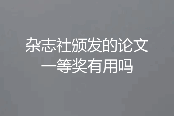 杂志社颁发的论文一等奖有用吗