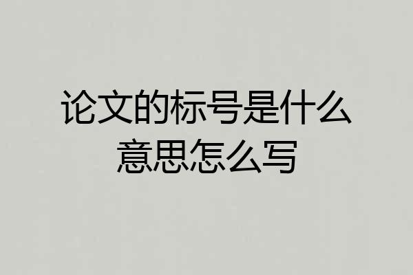 论文的标号是什么意思怎么写