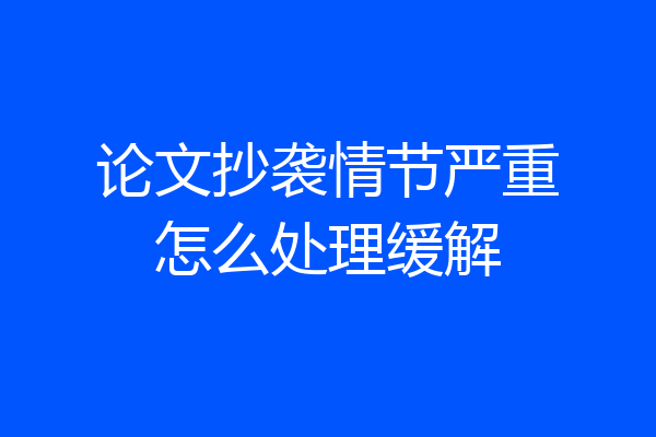 论文抄袭情节严重怎么处理缓解
