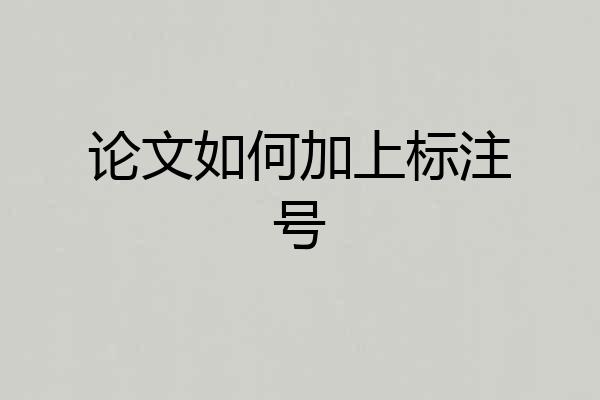 论文如何加上标注号