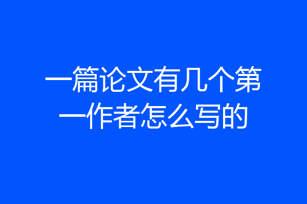 一篇论文有几个第一作者怎么写的