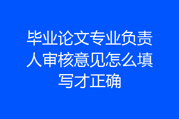 毕业论文专业负责人审核意见怎么填写才正确