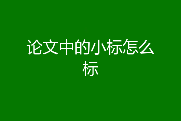 论文中的小标怎么标