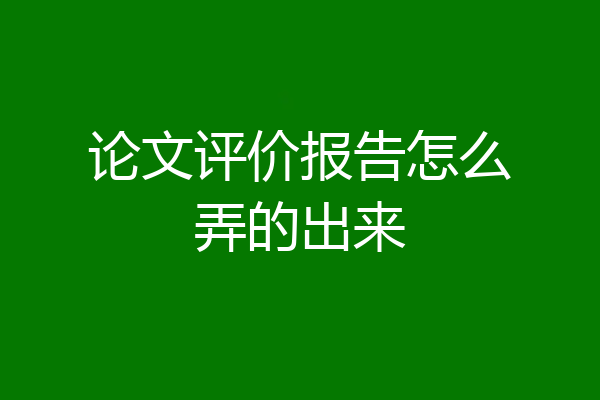 论文评价报告怎么弄的出来