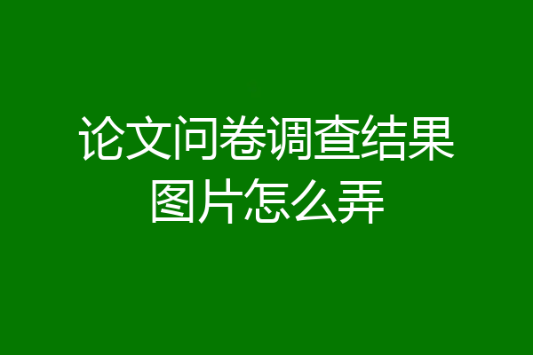 论文问卷调查结果图片怎么弄