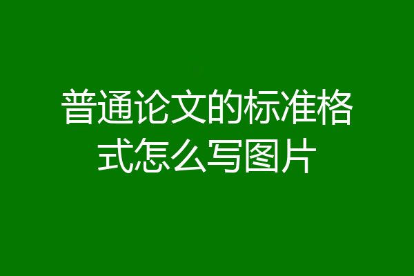 普通论文的标准格式怎么写图片