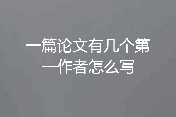 一篇论文有几个第一作者怎么写