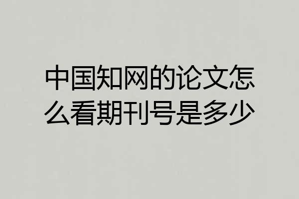 中国知网的论文怎么看期刊号是多少