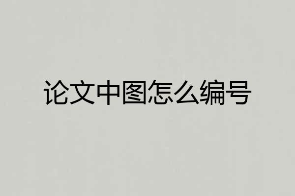 论文中图怎么编号