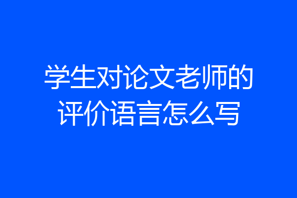 学生对论文老师的评价语言怎么写