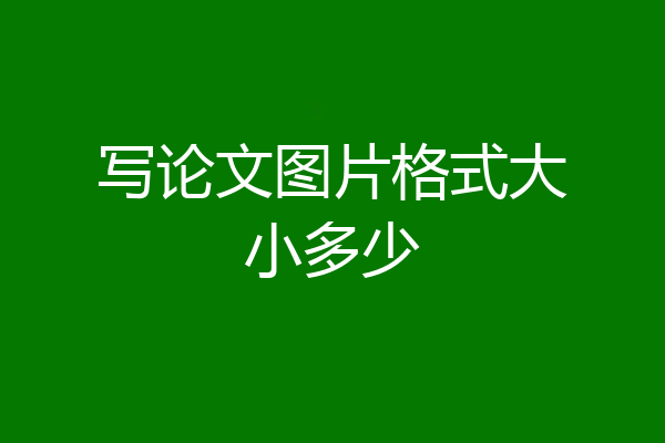 写论文图片格式大小多少