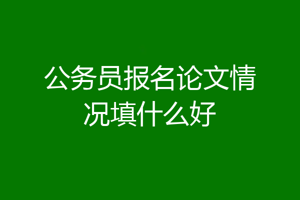 公务员报名论文情况填什么好