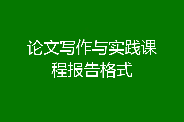 论文写作与实践课程报告格式