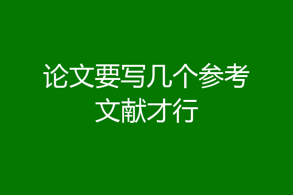 论文要写几个参考文献才行