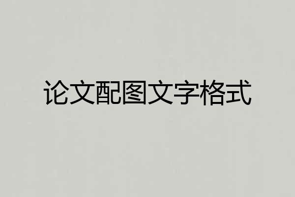 论文配图文字格式
