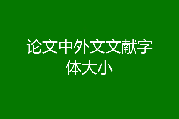 论文中外文文献字体大小