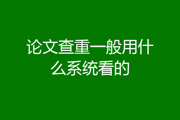论文查重一般用什么系统看的