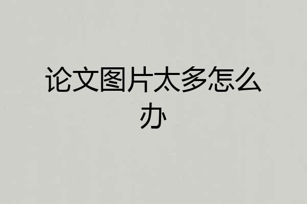 论文图片太多怎么办