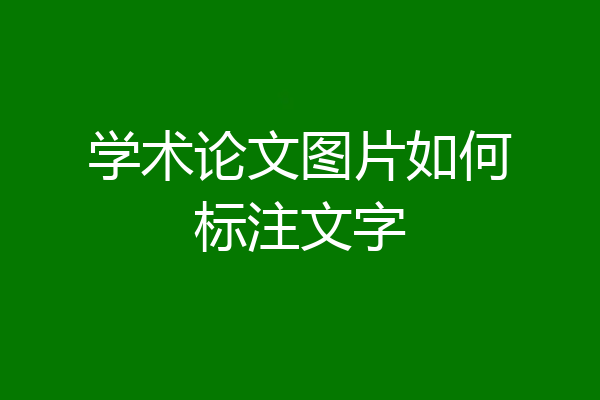 学术论文图片如何标注文字