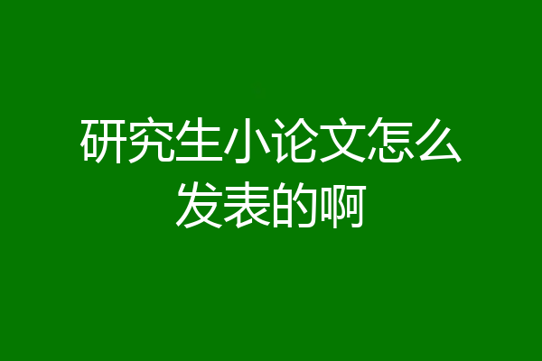 研究生小论文怎么发表的啊