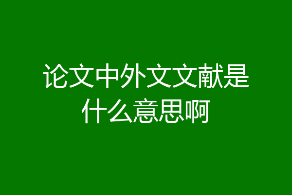论文中外文文献是什么意思啊