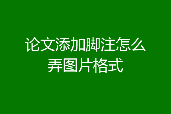 论文添加脚注怎么弄图片格式