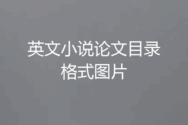英文小说论文目录格式图片