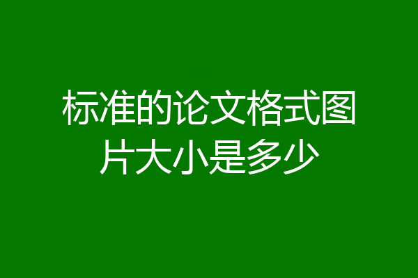 标准的论文格式图片大小是多少