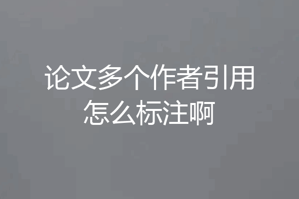 论文多个作者引用怎么标注啊