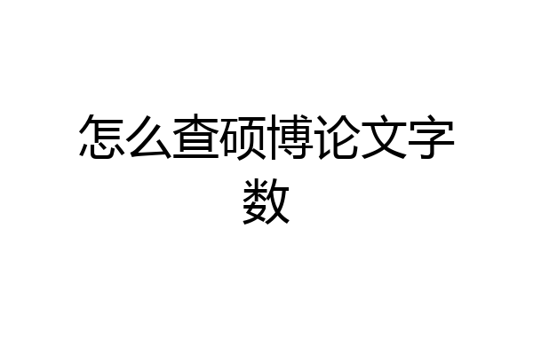 怎么查硕博论文字数