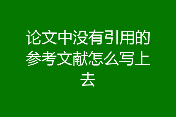 论文中没有引用的参考文献怎么写上去
