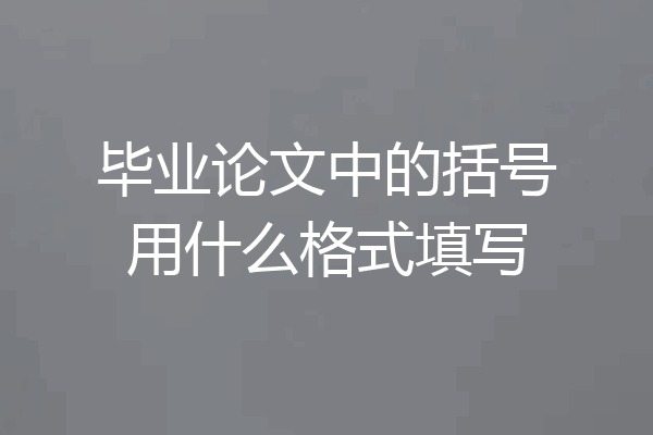 毕业论文中的括号用什么格式填写