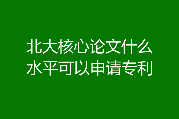北大核心论文什么水平可以申请专利