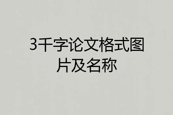 3千字论文格式图片及名称