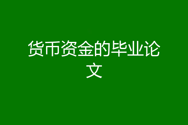 货币资金的毕业论文