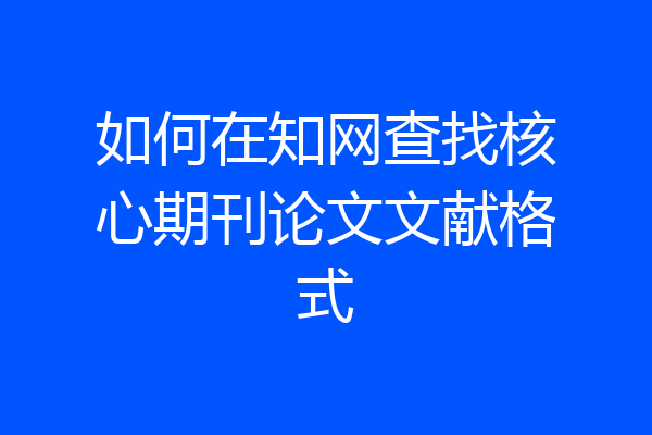 如何在知网查找核心期刊论文文献格式