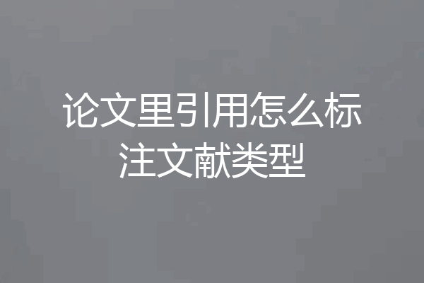 论文里引用怎么标注文献类型