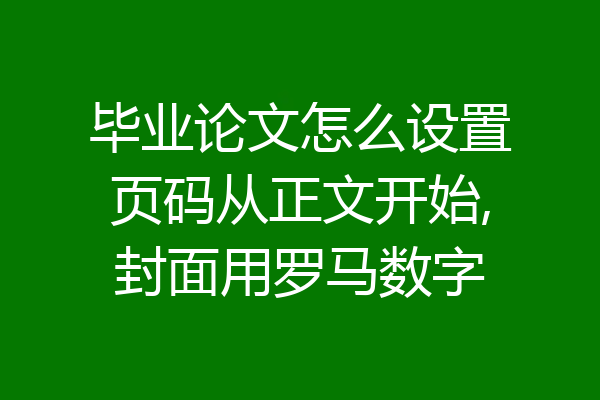 毕业论文怎么设置页码从正文开始,封面用罗马数字